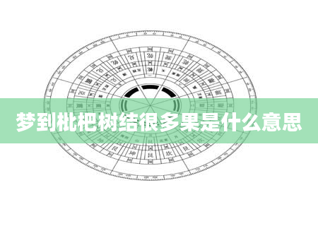 梦到枇杷树结很多果是什么意思