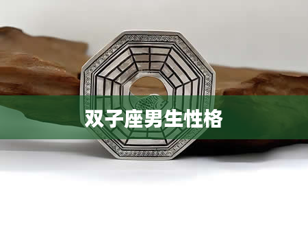 双子座男生性格