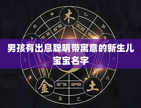 男孩有出息聪明带寓意的新生儿宝宝名字