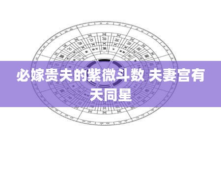 必嫁贵夫的紫微斗数 夫妻宫有天同星