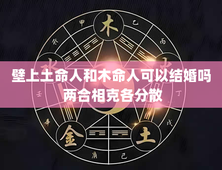 壁上土命人和木命人可以结婚吗 两合相克各分散
