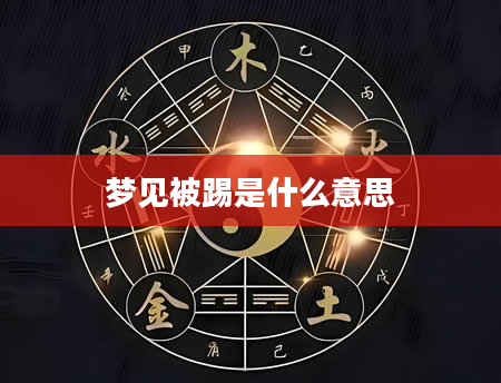 梦见被踢是什么意思