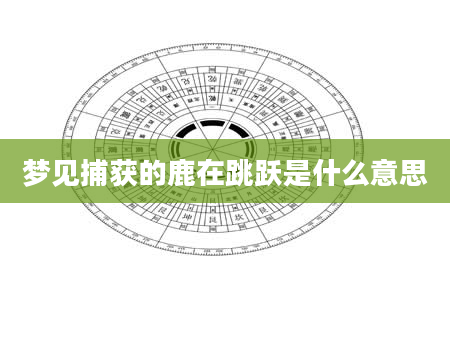 梦见捕获的鹿在跳跃是什么意思