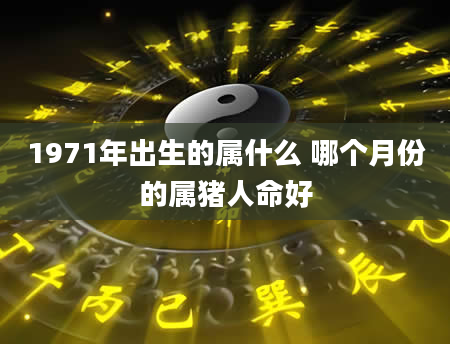 1971年出生的属什么 哪个月份的属猪人命好