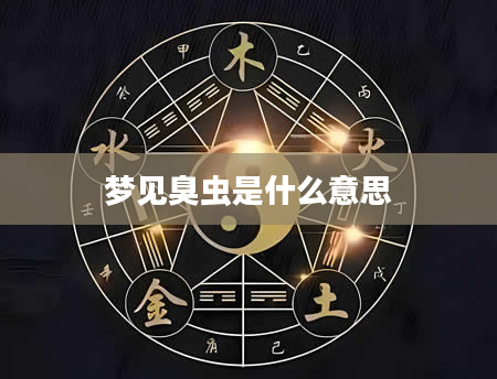 梦见臭虫是什么意思