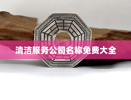 清洁服务公司名称免费大全