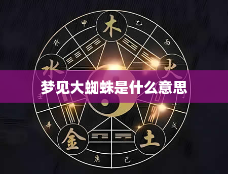 梦见大蜘蛛是什么意思