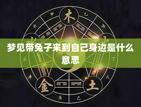 梦见带兔子来到自己身边是什么意思