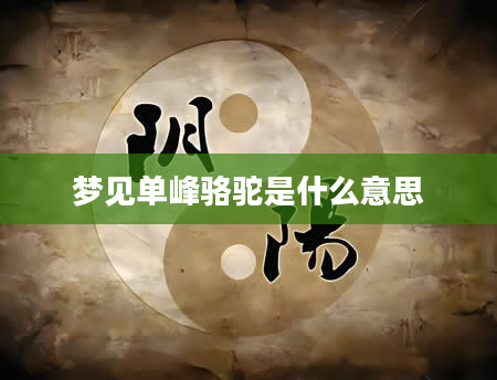 梦见单峰骆驼是什么意思