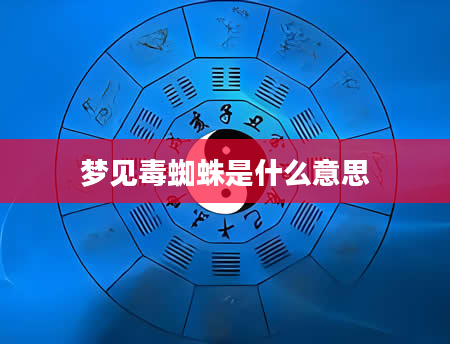 梦见毒蜘蛛是什么意思