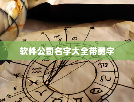 软件公司名字大全带勇字