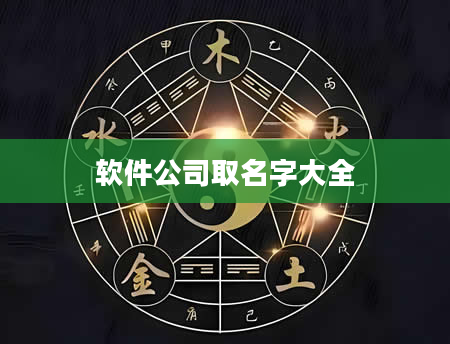 软件公司取名字大全