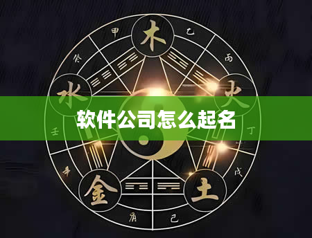 软件公司怎么起名