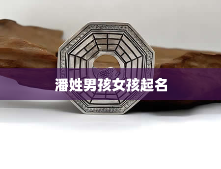 潘姓男孩女孩起名