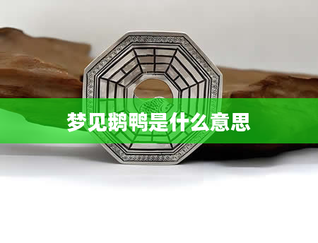 梦见鹅鸭是什么意思