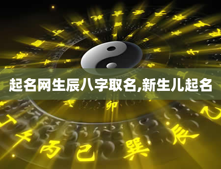 起名网生辰八字取名,新生儿起名