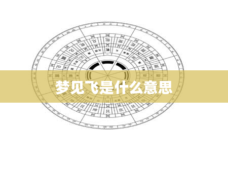 梦见飞是什么意思
