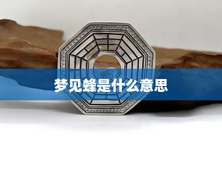 梦见蜂是什么意思