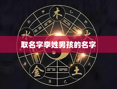 取名字李姓男孩的名字