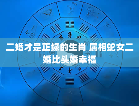 二婚才是正缘的生肖 属相蛇女二婚比头婚幸福