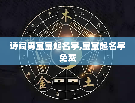 诗词男宝宝起名字,宝宝起名字免费