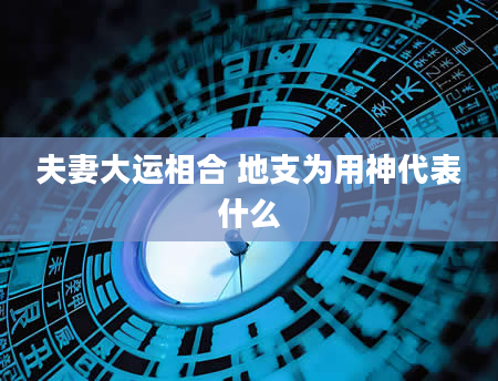 夫妻大运相合 地支为用神代表什么