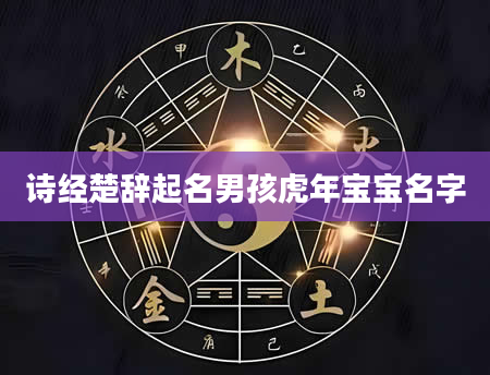 诗经楚辞起名男孩虎年宝宝名字