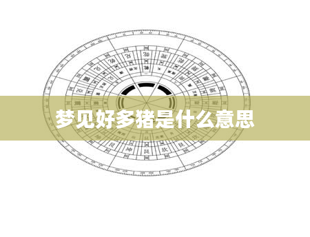 梦见好多猪是什么意思