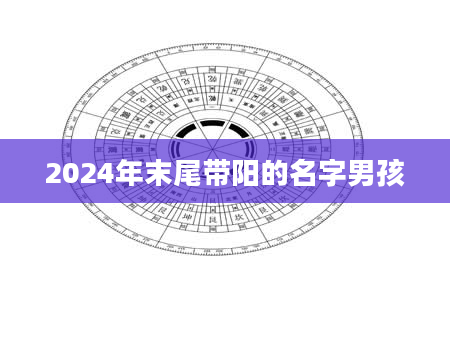 2024年末尾带阳的名字男孩