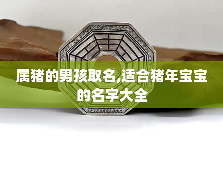 属猪的男孩取名,适合猪年宝宝的名字大全