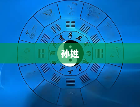 孙姓