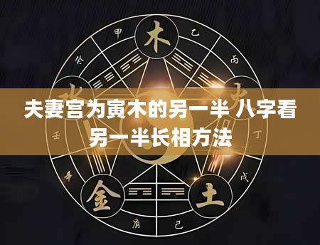 夫妻宫为寅木的另一半 八字看另一半长相方法