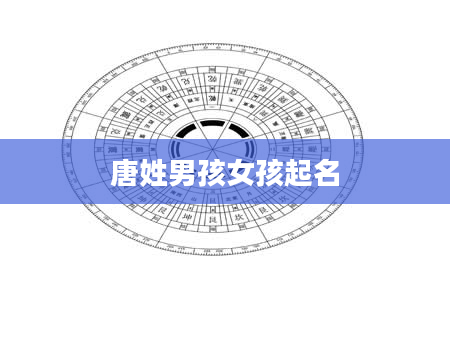 唐姓男孩女孩起名