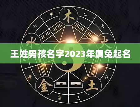 王姓男孩名字2023年属兔起名