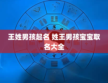 王姓男孩起名 姓王男孩宝宝取名大全
