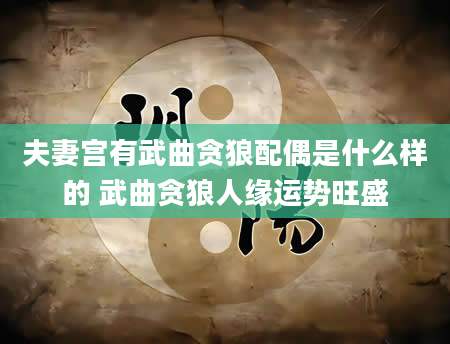 夫妻宫有武曲贪狼配偶是什么样的 武曲贪狼人缘运势旺盛