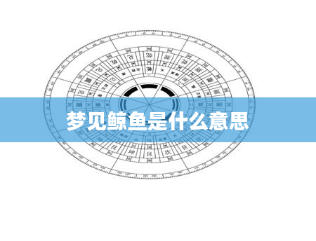 梦见鲸鱼是什么意思