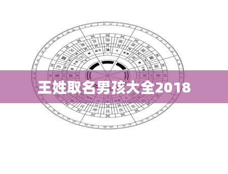 王姓取名男孩大全2018