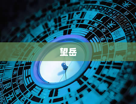 望岳