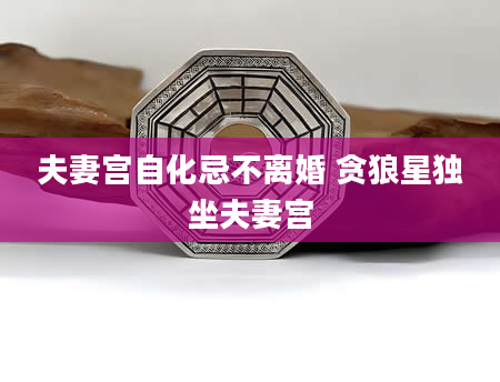 夫妻宫自化忌不离婚 贪狼星独坐夫妻宫