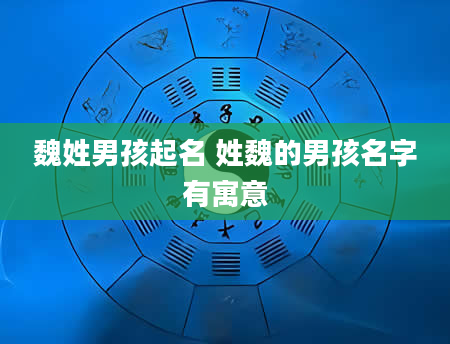魏姓男孩起名 姓魏的男孩名字有寓意