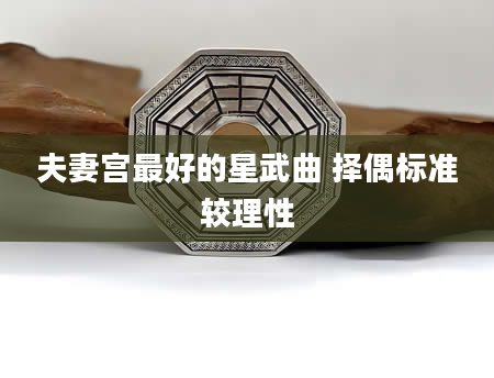 夫妻宫最好的星武曲 择偶标准较理性