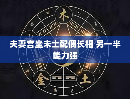 夫妻宫坐未土配偶长相 另一半能力强