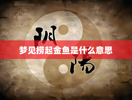 梦见捞起金鱼是什么意思