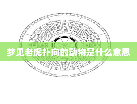梦见老虎扑向的动物是什么意思
