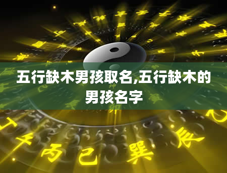 五行缺木男孩取名,五行缺木的男孩名字