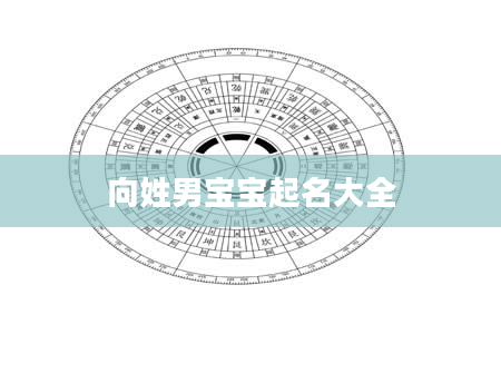 向姓男宝宝起名大全