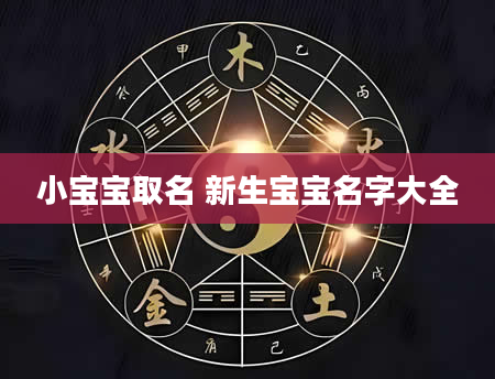 小宝宝取名 新生宝宝名字大全