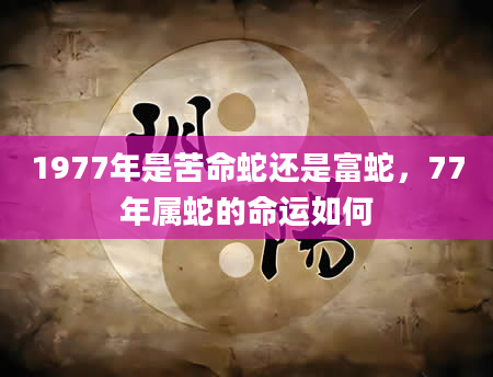 1977年是苦命蛇还是富蛇，77年属蛇的命运如何