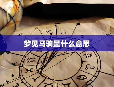 梦见马驹是什么意思